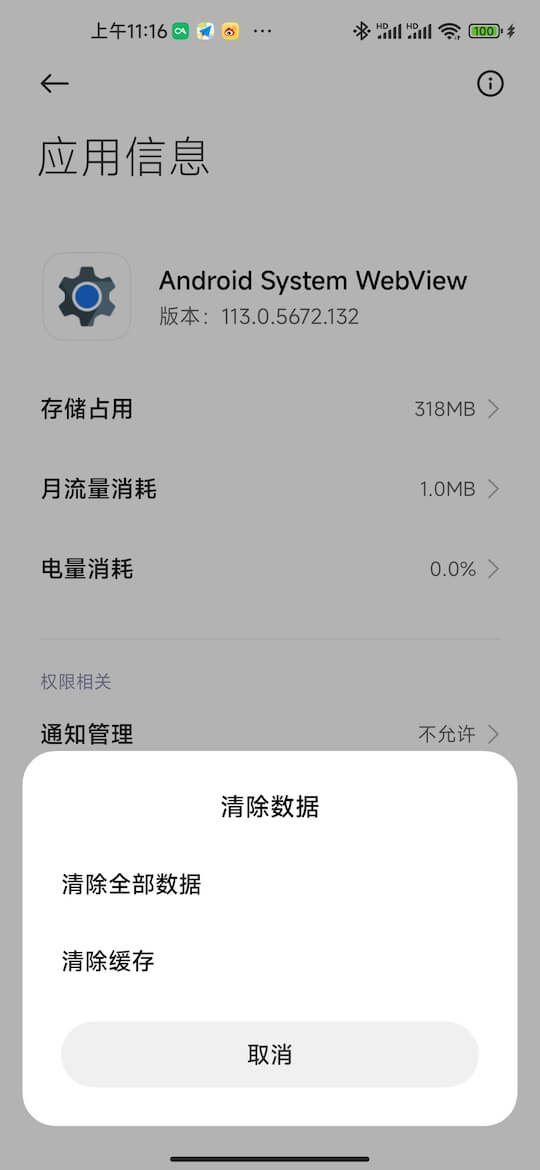 clean_webview_data
